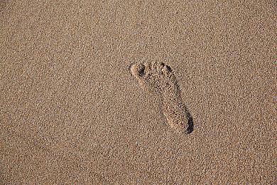 《无名九使：觉醒》发售预告 巫师剧版叶奈法演员出演